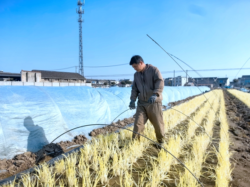 2a4a10dbd10ab564888982f103692294