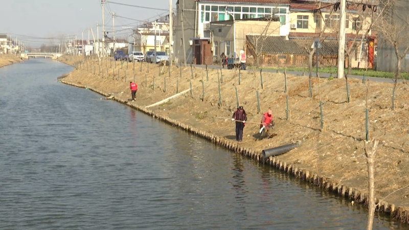 黄桥镇：系统治水 绘就人水和谐乡村画卷​