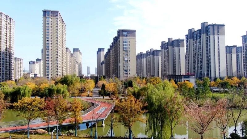zj11_看图王.jpg