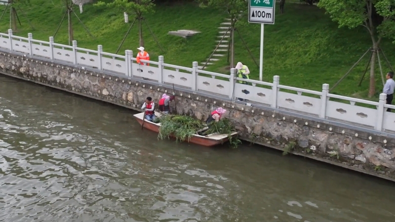 相关部门开展城区河道水草专项清理行动