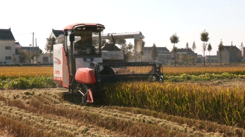 秋播备耕正当时 农资保供强基础