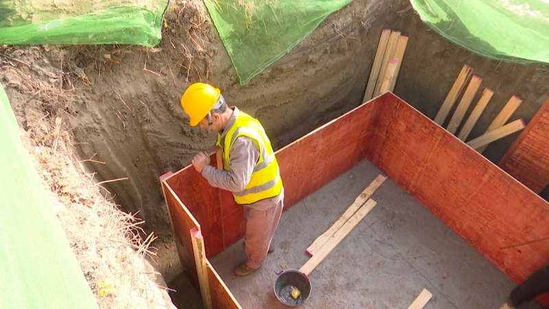 “千万工程”领航，绘就泰兴乡村“美颜”长卷