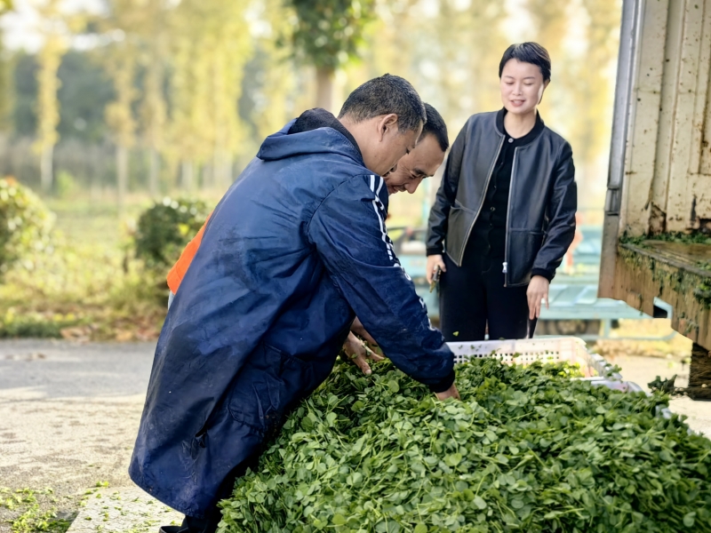 768c1358571450f847898adcdb3d5b56