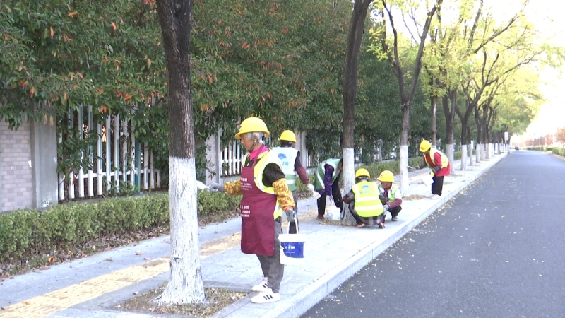 园林部门启动冬季绿化养护工作