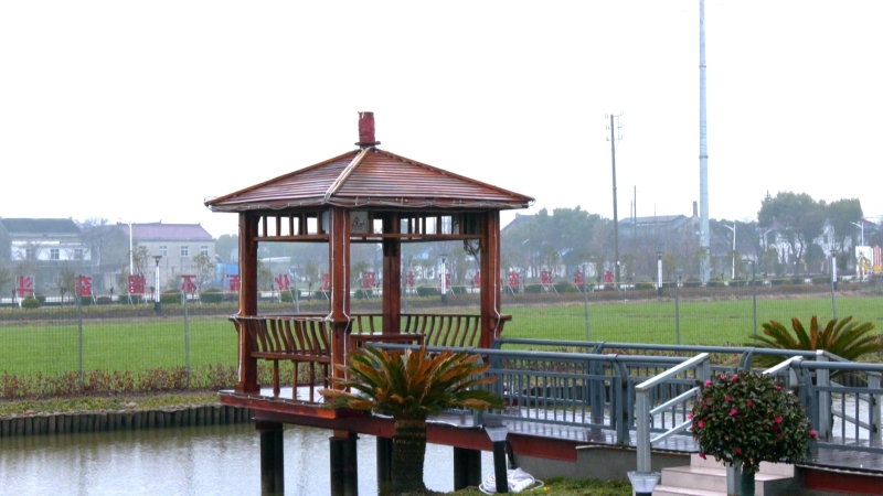 兴福圩乡 虹桥镇连片推进和美乡村建设