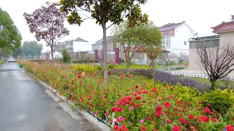 微信图片_2025-08-21_164839_997.jpg