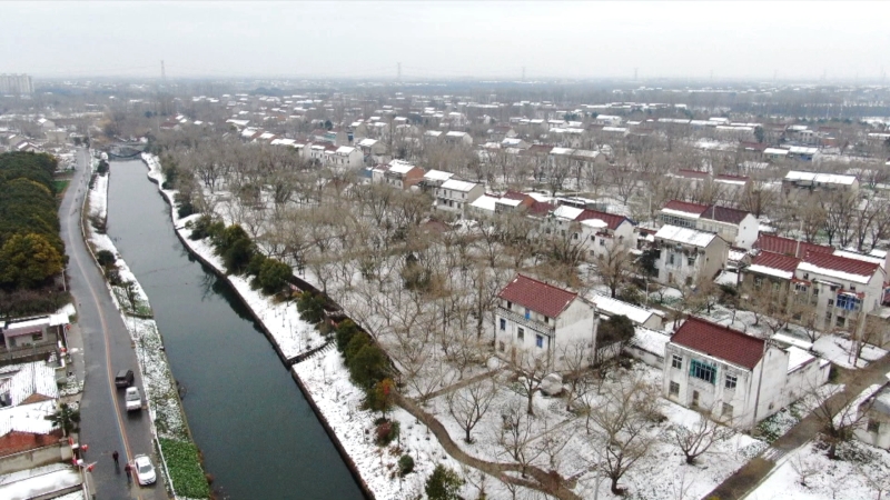 瑞雪迎新年 泰兴2026年首场雪如约而至