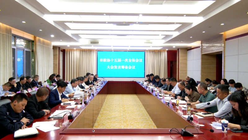市政协召开十五届一次全体会议大会发言筹备会议