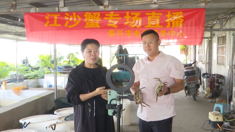 直播赋能 江沙蟹产销两旺