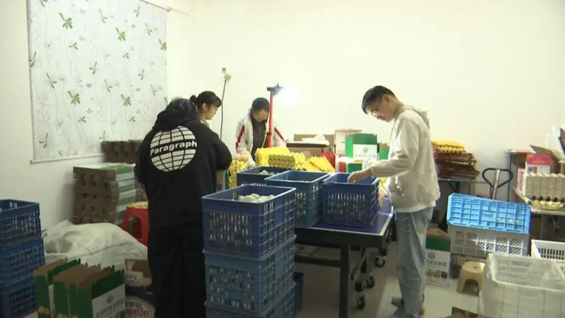田间“搭桥”，泰兴农产品“走出去”