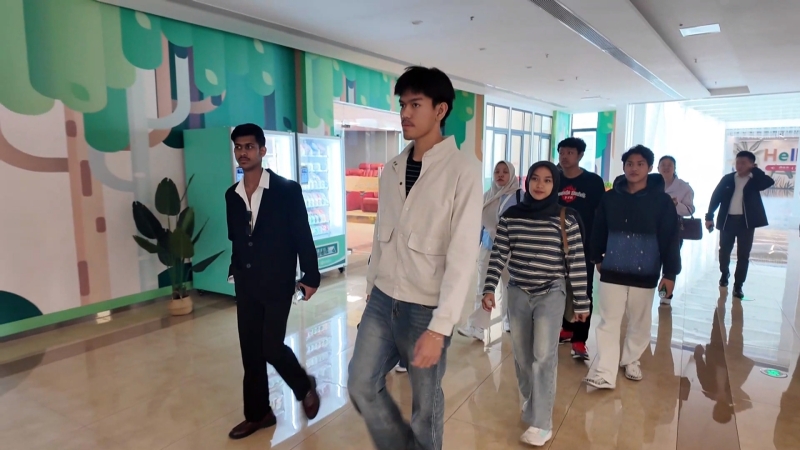 境外人士看泰兴赞泰兴