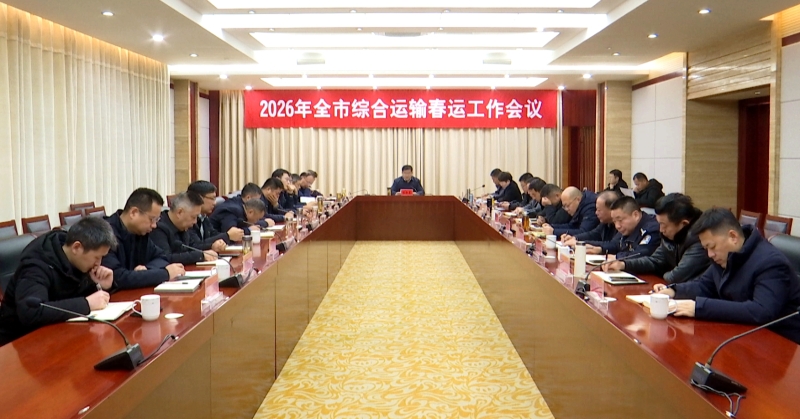 市领导督查2026年全市春运工作