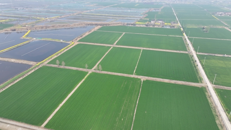 我市各地加快推进高标准农田建设