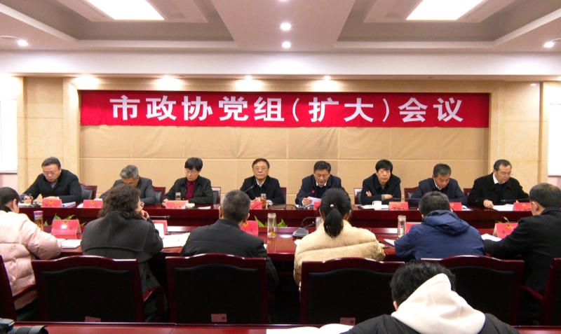 市政协召开党组（扩大）会议