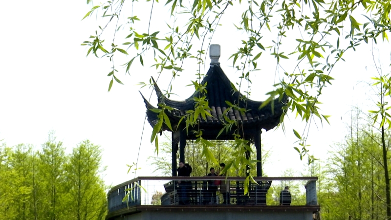 春光美 我市各地迎来户外踏青热潮