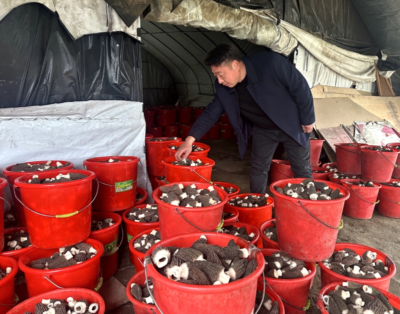 f882d81df8bf122433cee301bd42e204