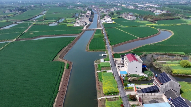 “保姆”式服务护航小麦管理关键期