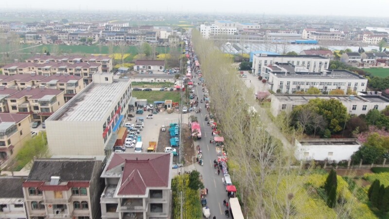 庙会遇春假 学生消费带火乡镇大集