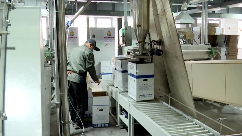 曲霞镇：“双轮驱动”跑出项目攻坚“加速度”