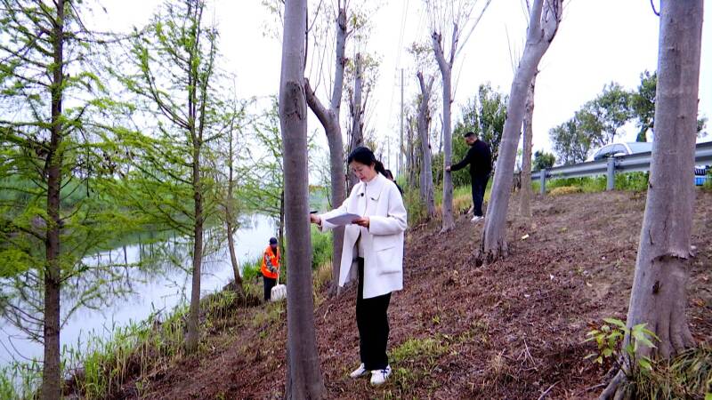 珊瑚镇：“以河养河”走出生态治水新路径