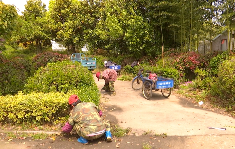 河失镇：春日焕新颜 乡村更宜居