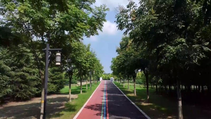 我市建成百公里健身步道织密“15分钟健身圈”