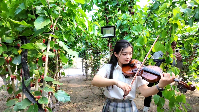 桑瓦莱 ，