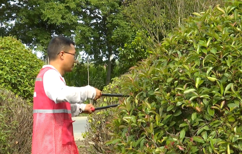 黄桥镇：干群同心 打造和美乡村