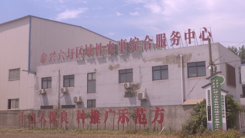 “共享农机+跨区协作”六圩合作社跑出夏收夏种“加速度”
