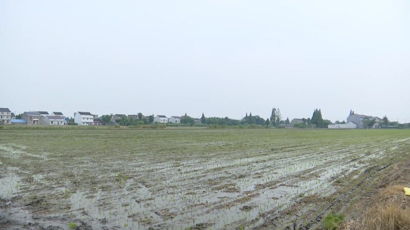 12-403.jpg