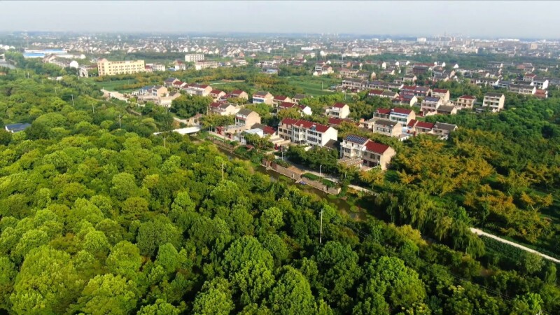 泰州市人大常委会调研我市绿美村庄建设情况