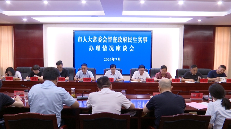 市人大常委会督查2026年民生实事项目实施推进情况