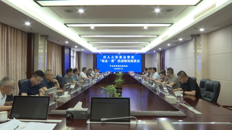 市人大常委会“双走一看”走进市自然资源和规划局