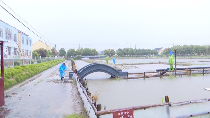 分界滕兴村：党建引领聚合力 田埂上实干护产业