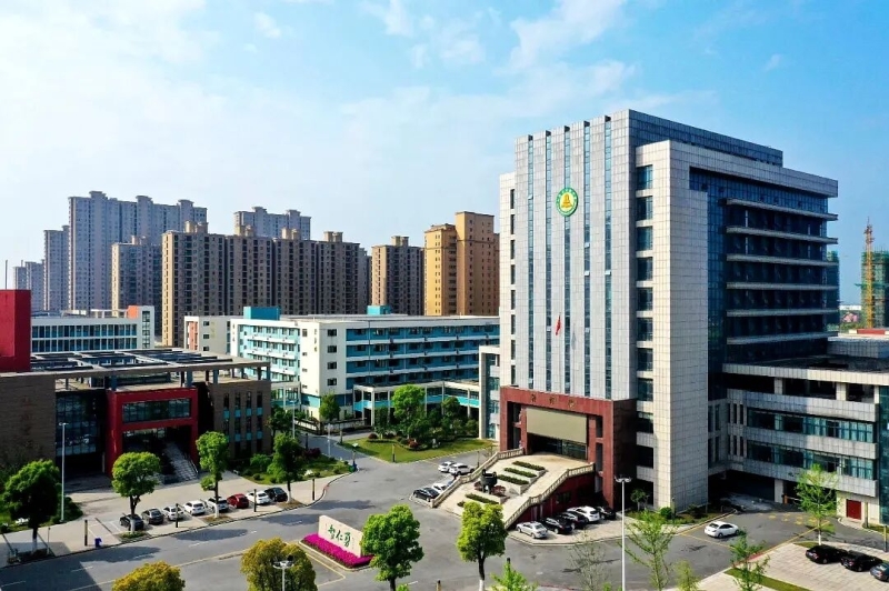 经济增，收入涨！黄桥全龄友好“拉满格”