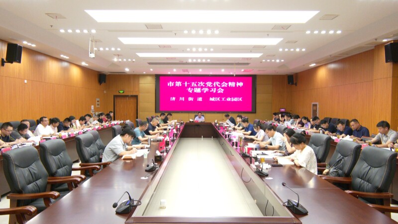 济川街道召开市第十五次党代会精神专题学习会