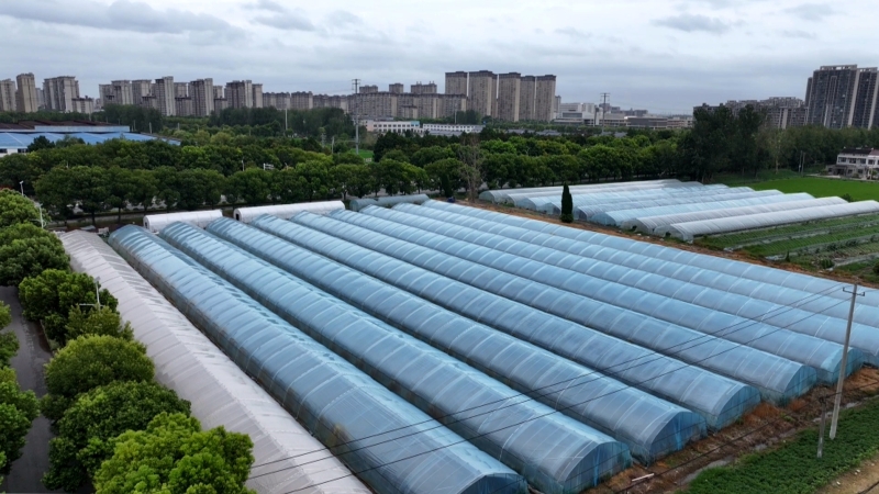 减损降灾 各地积极应对台风“白海豚”