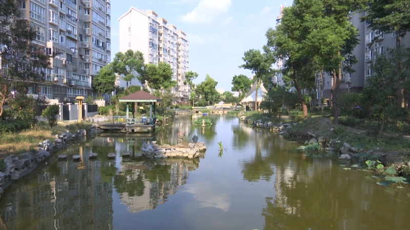 物业、居民共建共治  小区河道焕新颜