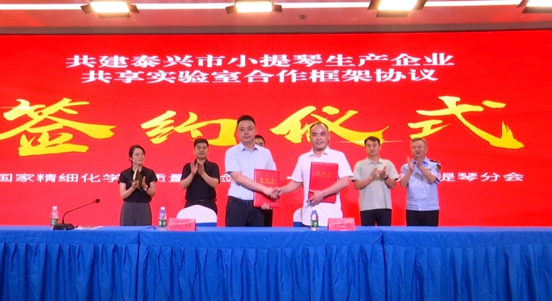 黄桥小提琴专业特色市场整治提升现场推进会召开