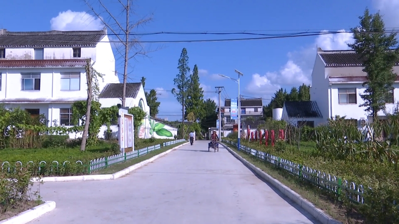 5-605.jpg