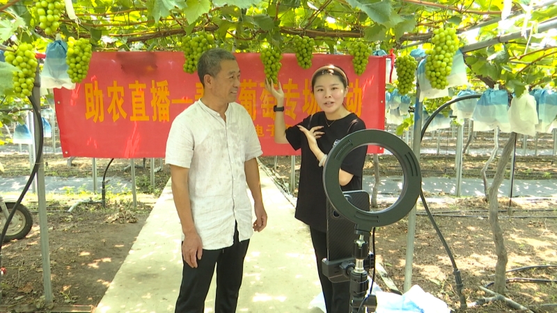 田间搭起产销桥 助农增收振兴乡村
